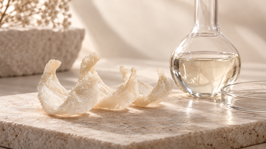 Authentic white Bird’s Nest displayed on a cream stone surface beside a clear glass vessel representing cosmetic extraction, illustrating Good Regimen’s article on Bird’s Nest preparation, free NANA, and modern skincare formulation.