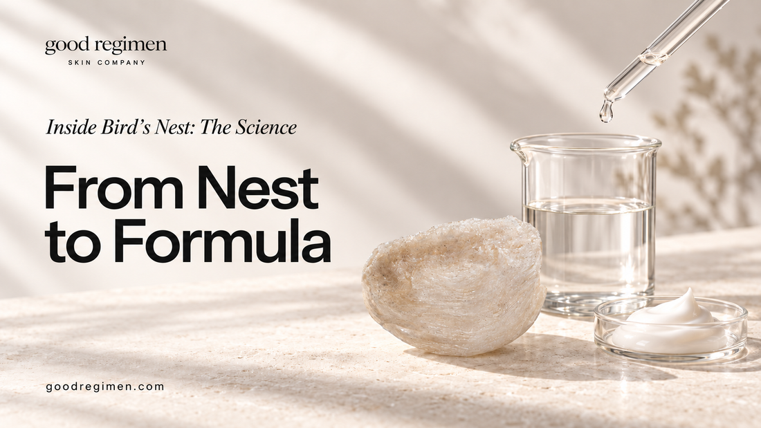 Good Regimen’s “From Nest to Formula” blog cover featuring an ivory Bird’s Nest beside a glass beaker, dropper, and cream, illustrating skincare ingredient preparation.