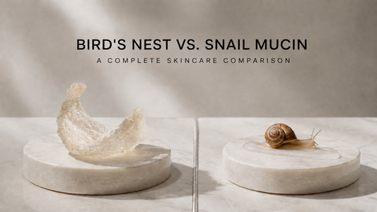 Snail mucin vs. Bird’s Nest skincare comparison featuring authentic White Bird’s Nest and a snail on minimalist stone displays.