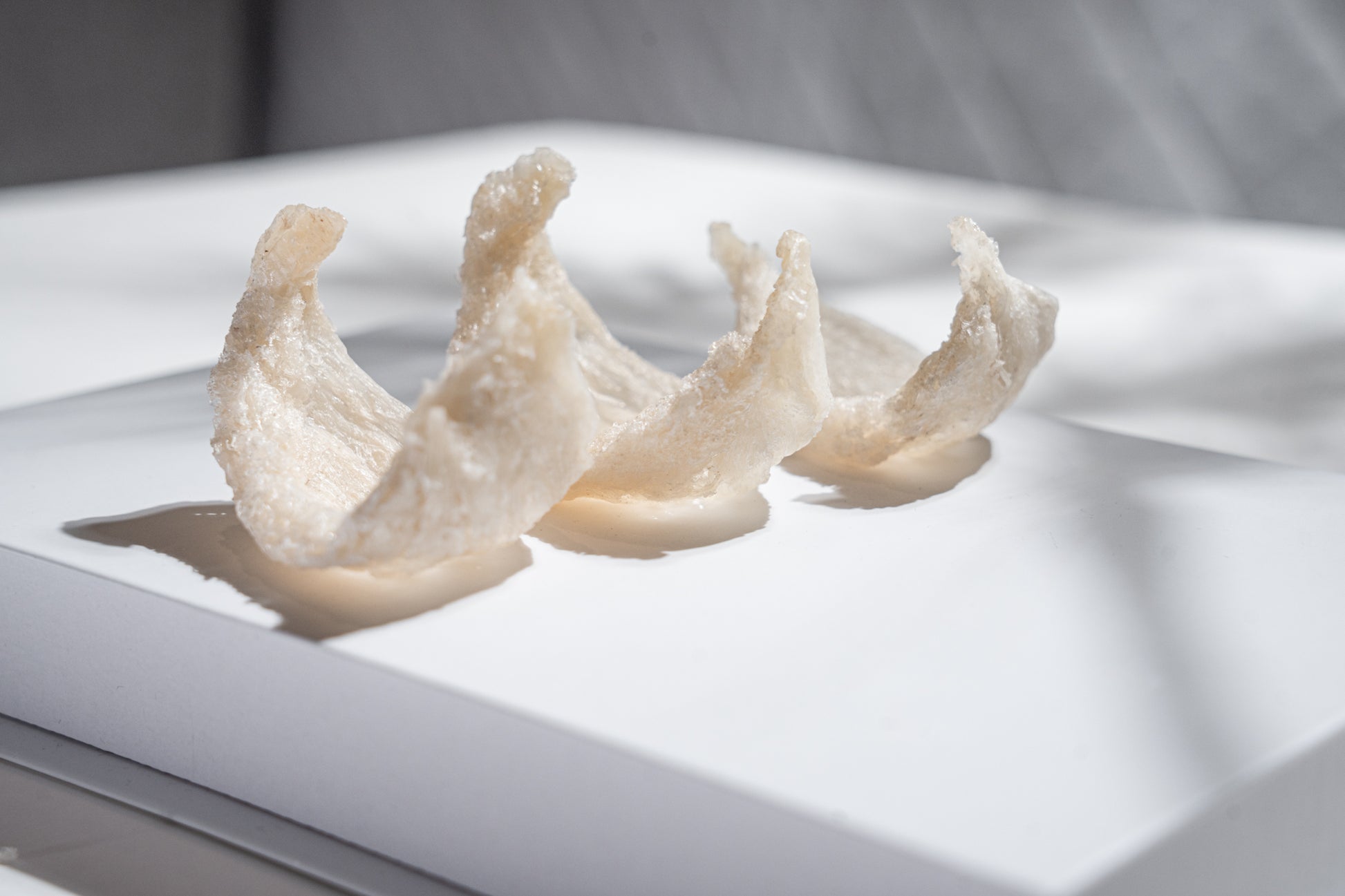 Bird’s Nest pieces displayed on a white surface, representing the natural peptide-rich skincare ingredient used to support hydration, skin barrier health, microbiome balance, and radiant-looking skin.