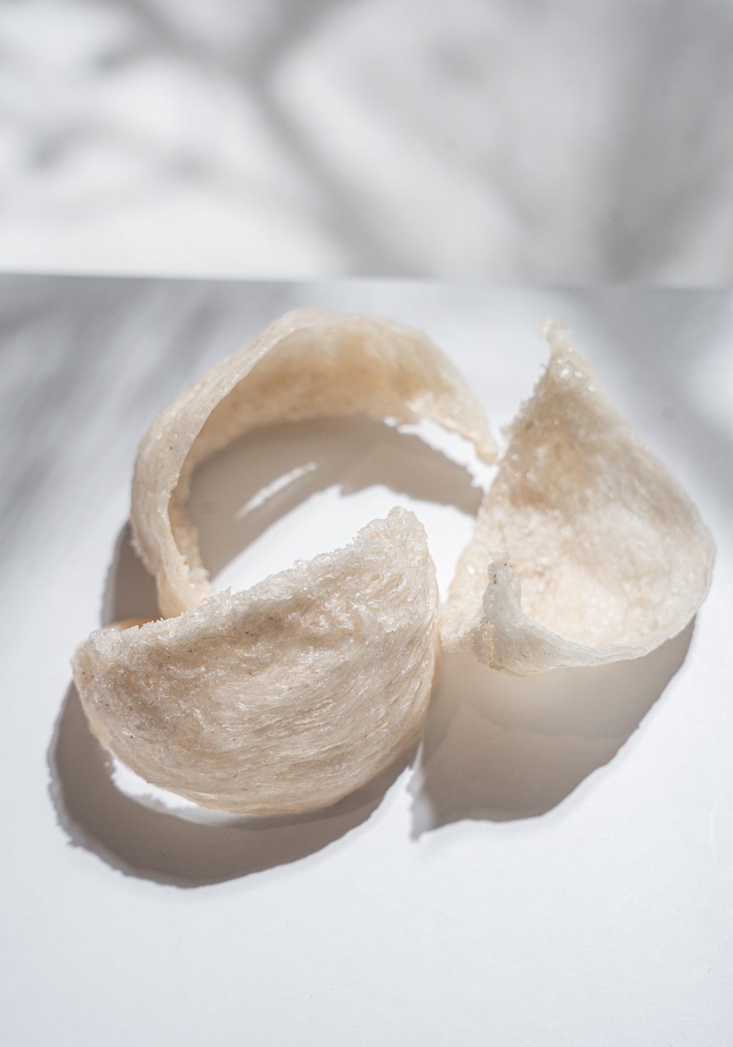 Close-up of edible Bird’s Nest ingredient used in luxury skincare to support the skin microbiome, hydration, skin barrier health, and healthier-looking skin.