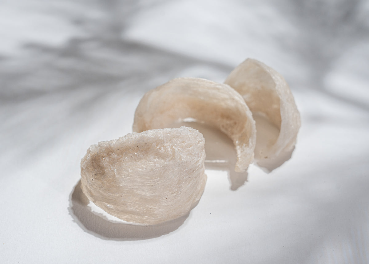 Three authentic ivory-colored Bird’s Nests arranged on a white surface, showcasing their natural layered fibers and texture as the heritage ingredient behind Good Regimen’s modern Bird’s Nest skincare.