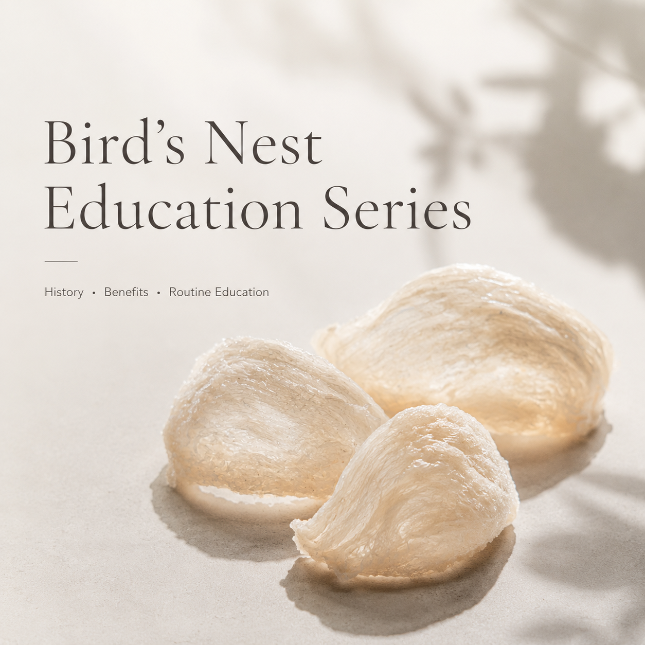Bird’s nest skincare education series image for Good Regimen featuring natural bird’s nest and guides on history, benefits, hydration, barrier support, and routine care.