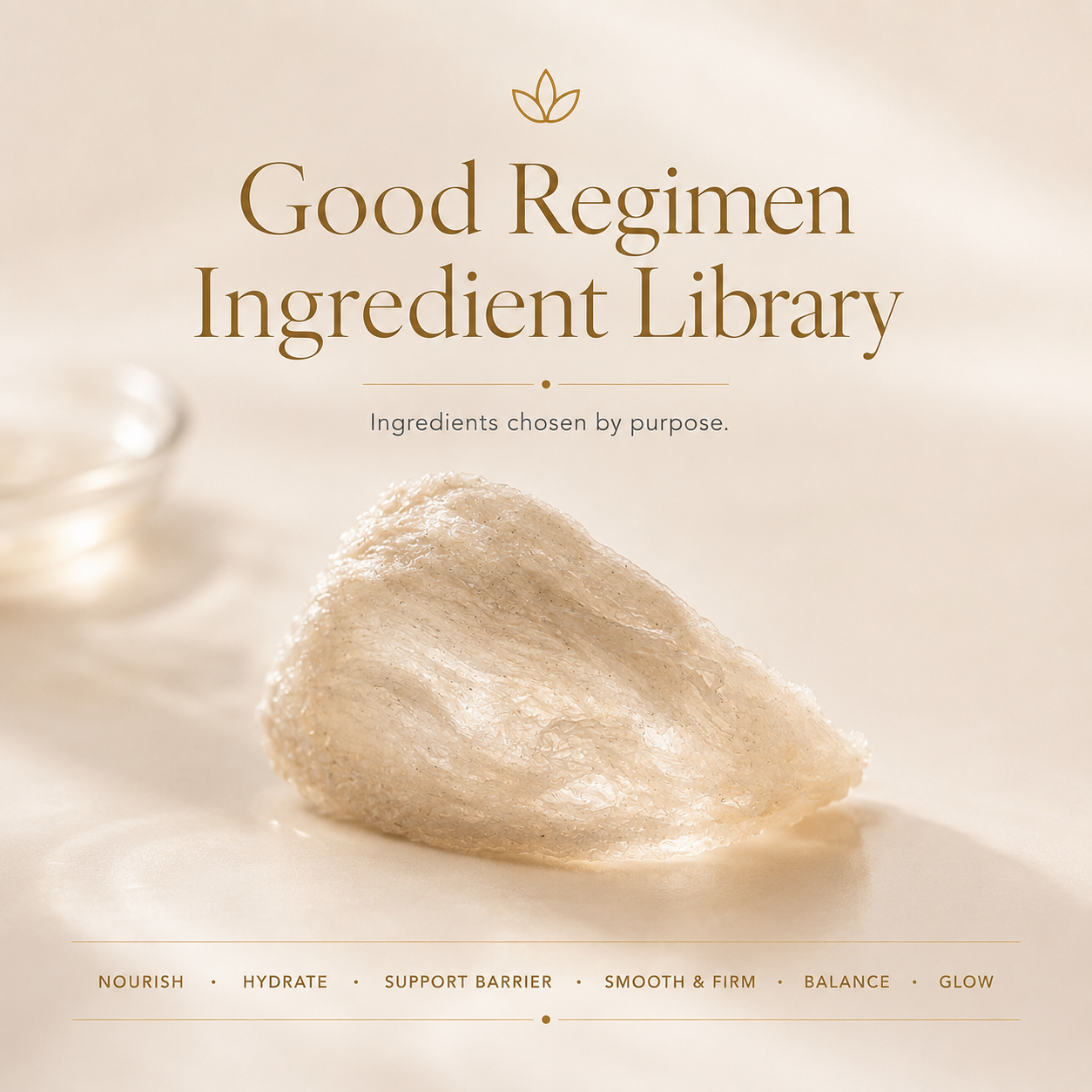 Luxury minimalist Good Regimen Ingredient Library image featuring real White Bird’s Nest as the brand’s first hero skincare ingredient, organized by nourish, hydrate, support barrier, smooth and firm, balance, and glow.
